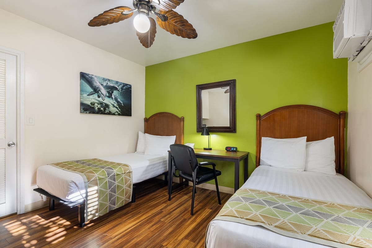 Standard With Two Twins