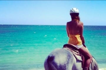 Hawaii Polo Trail Rides